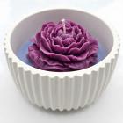 Wit / Paars / Lavendel